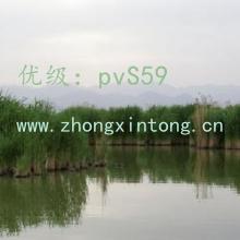 ʧ